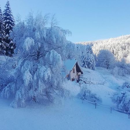 Studio Chaleureux A Villard De Lans المظهر الخارجي الصورة