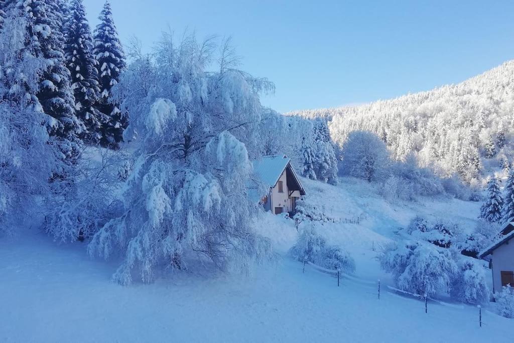 Studio Chaleureux A Villard De Lans المظهر الخارجي الصورة