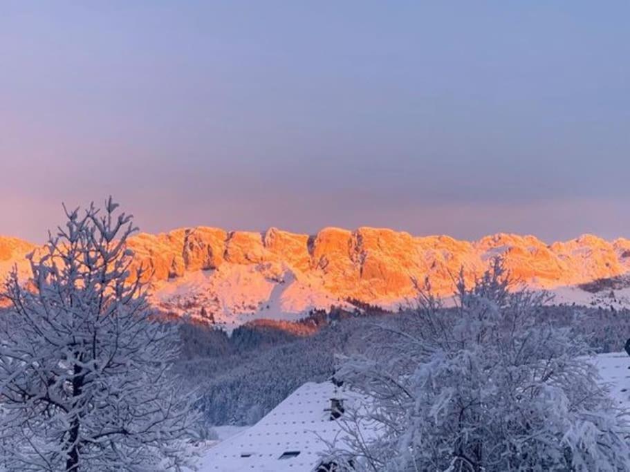 Studio Chaleureux A Villard De Lans المظهر الخارجي الصورة
